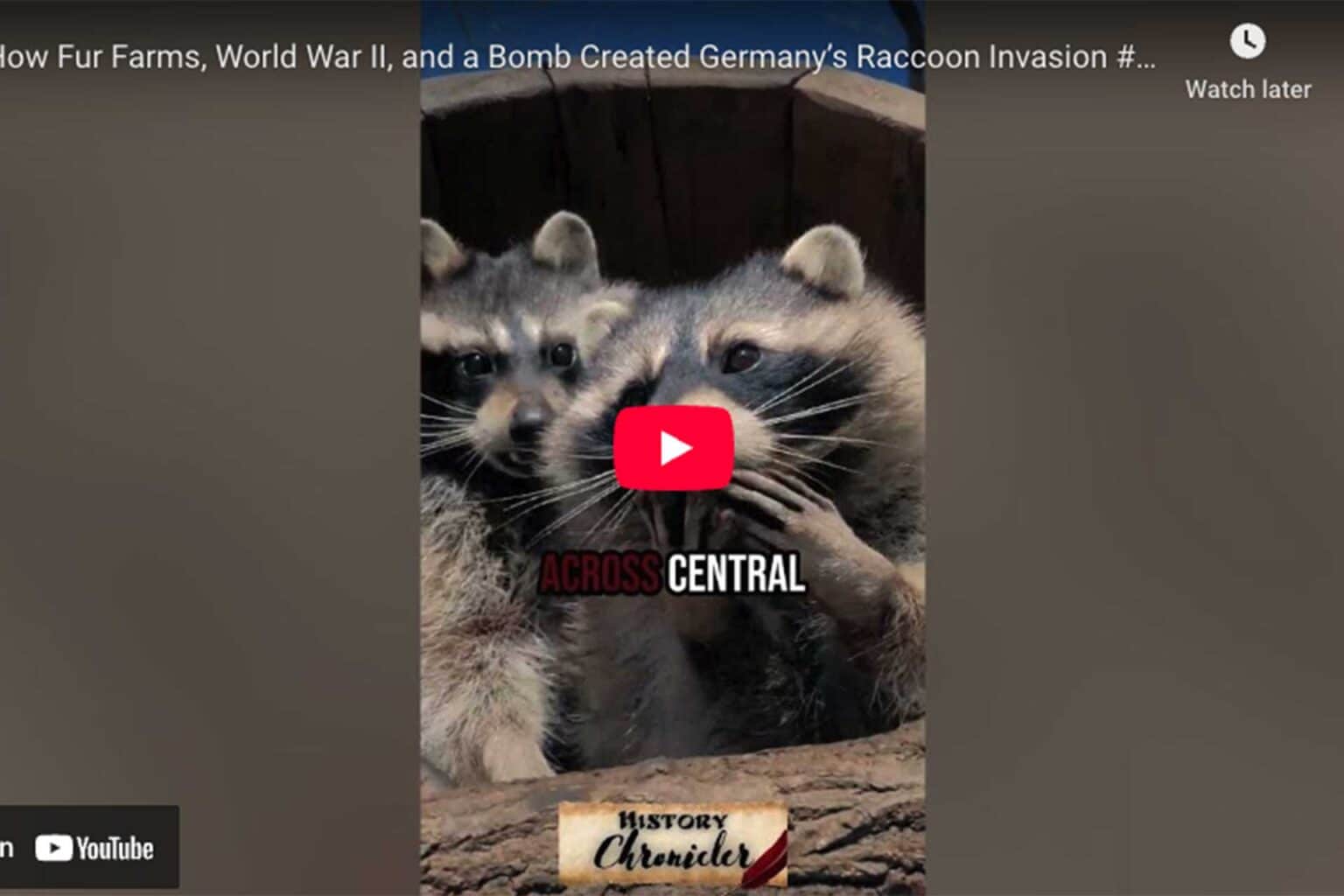 30 Famous People That Fought in World War II - History Chronicler