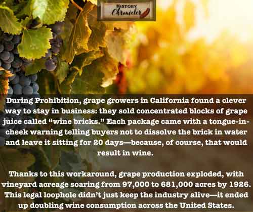 The “Wine Bricks” Loophole That Outsmarted Prohibition