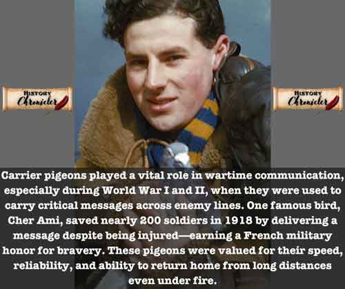 Cher Ami and the Winged Heroes of World War I