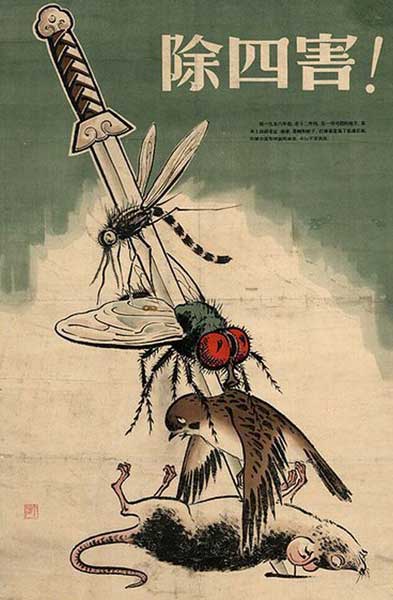 Kill bird and insect in China - Mao Zedong's government propaganda promoting the Four Pests Campaign 1958