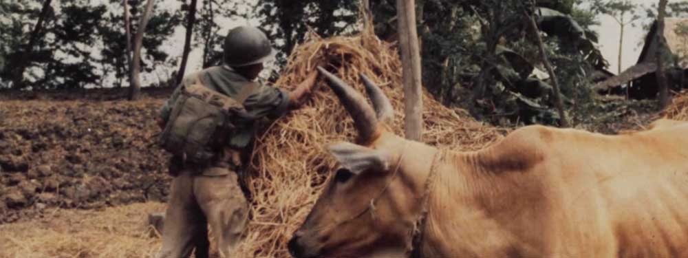 Vietnamese infantrymen searching for Viet Cong. NARA 111-CCV-59-CC22859